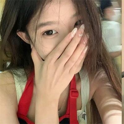 模范警察